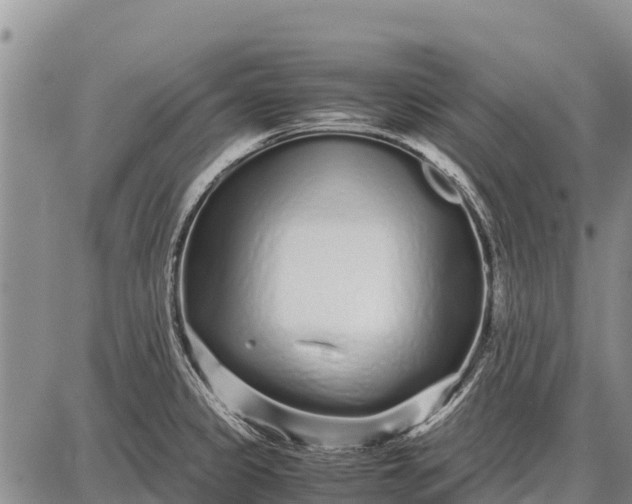 X0000087691333200705181745