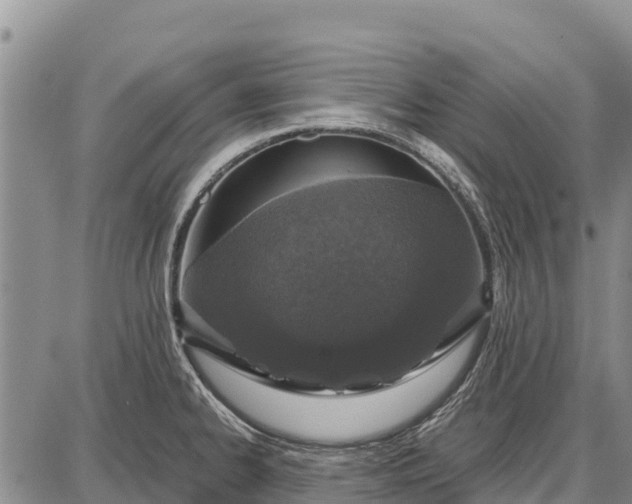 X0000087691334200705181745