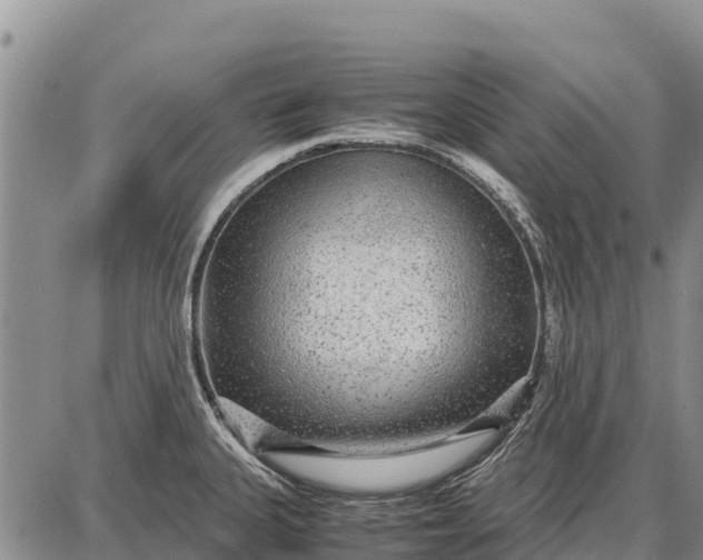 X0000087691335200705181745