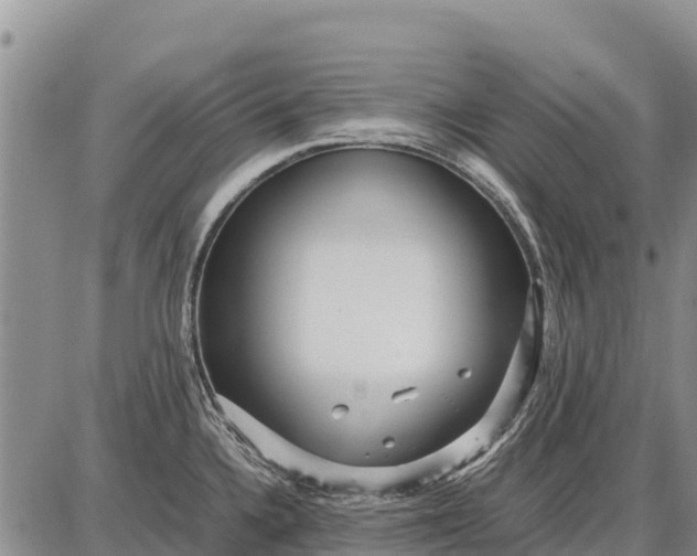 X0000087691336200705181745