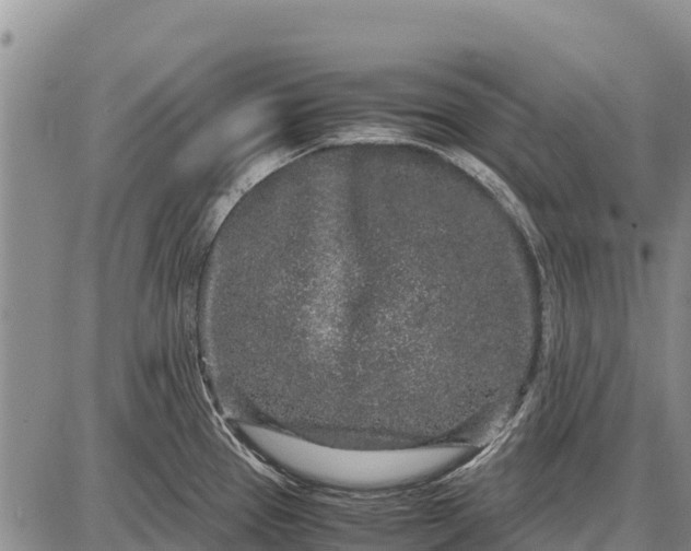 X0000087691337200705181745