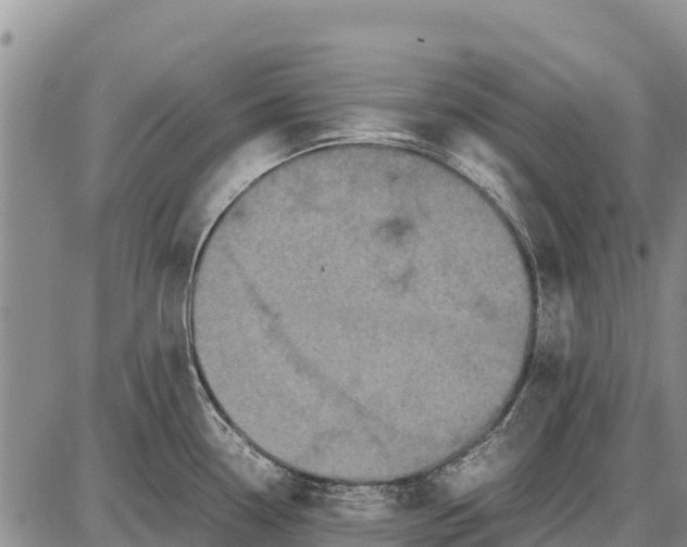 X0000087691338200705181745