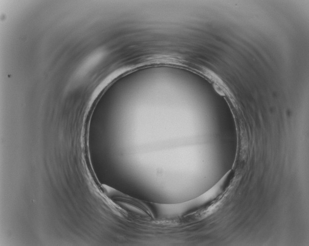 X0000087691339200705181745