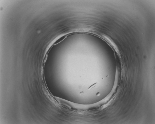 X0000087691340200705181745