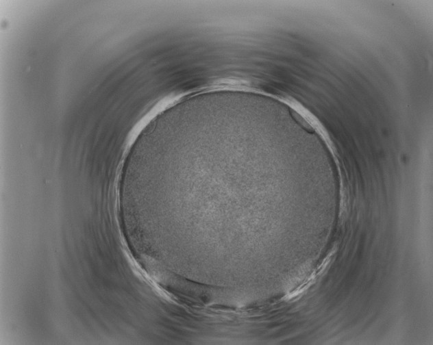 X0000087691341200705181745