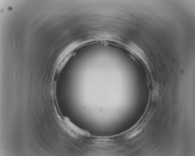 X0000087691342200705181745