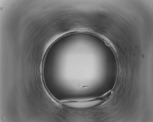 X0000087691343200705181745