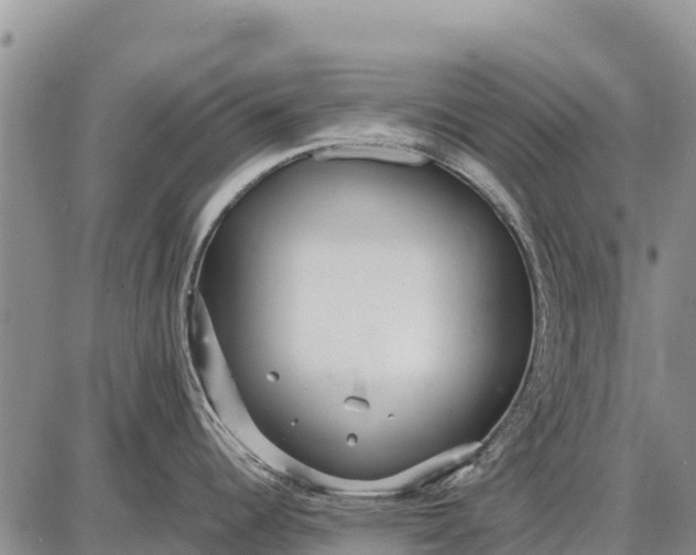 X0000087691344200705181745