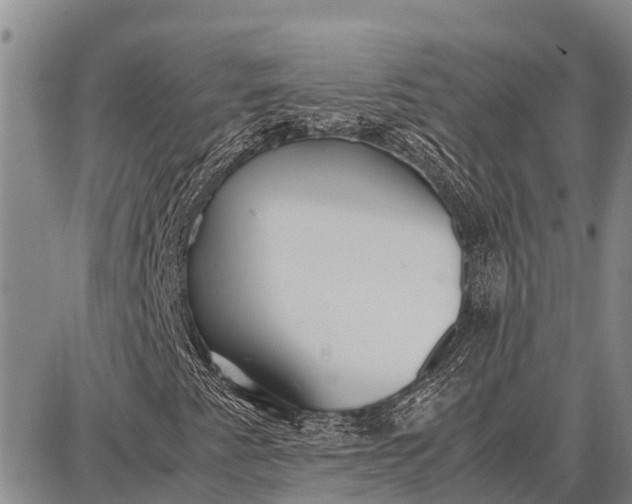 X0000087691345200705181744