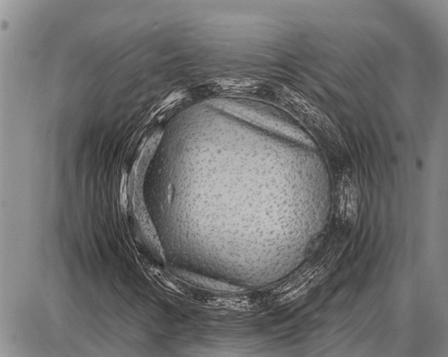 X0000087691346200705181744