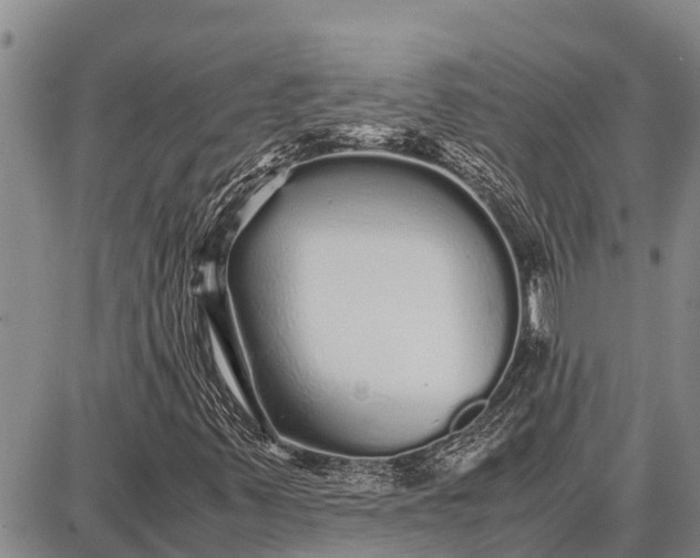 X0000087691347200705181744