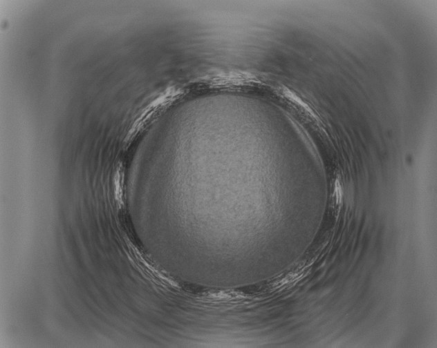 X0000087691348200705181744