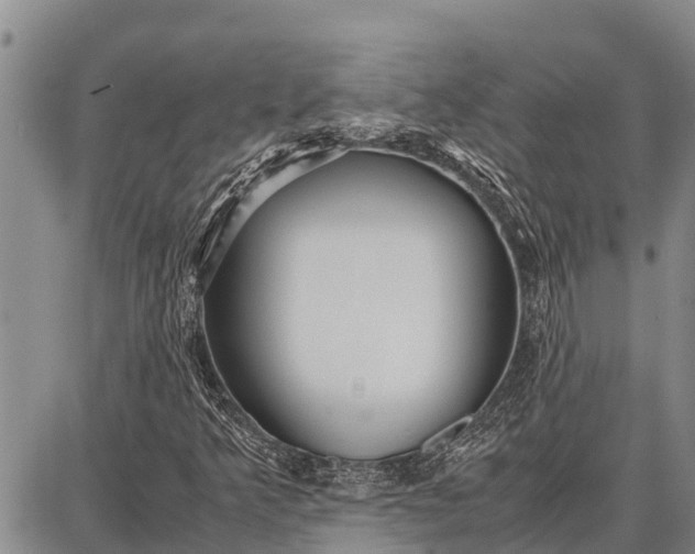 X0000087691349200705181744