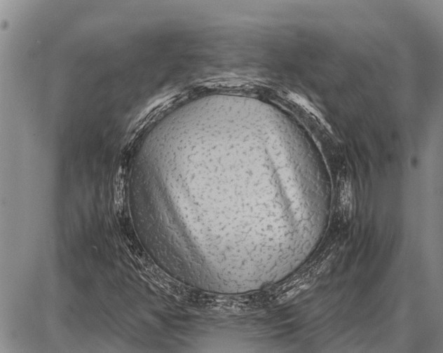 X0000087691350200705181744