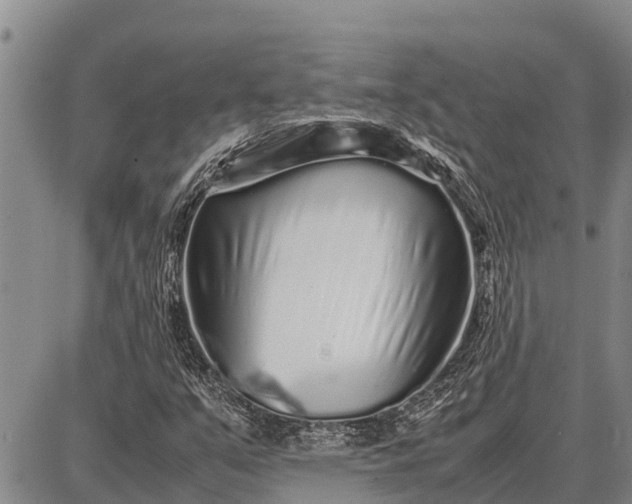 X0000087691351200705181744