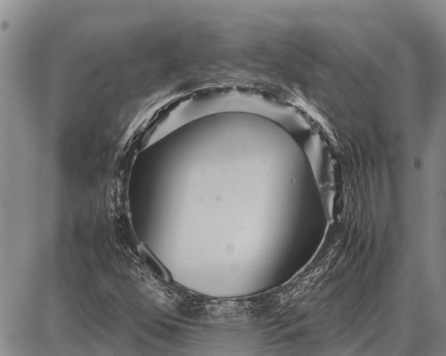 X0000087691352200705181744