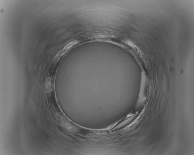 X0000087691353200705181744