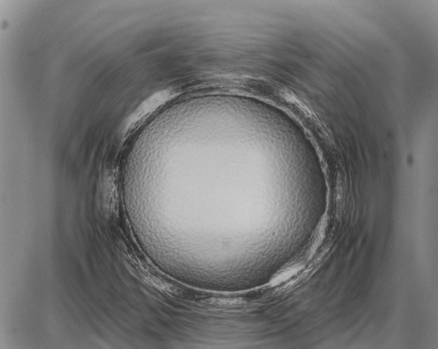 X0000087691354200705181744