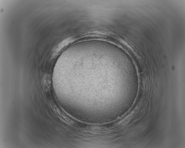 X0000087691355200705181744