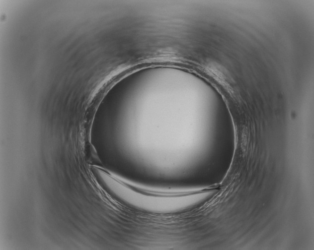 X0000087691356200705181744