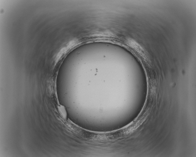 X0000087691357200705181744