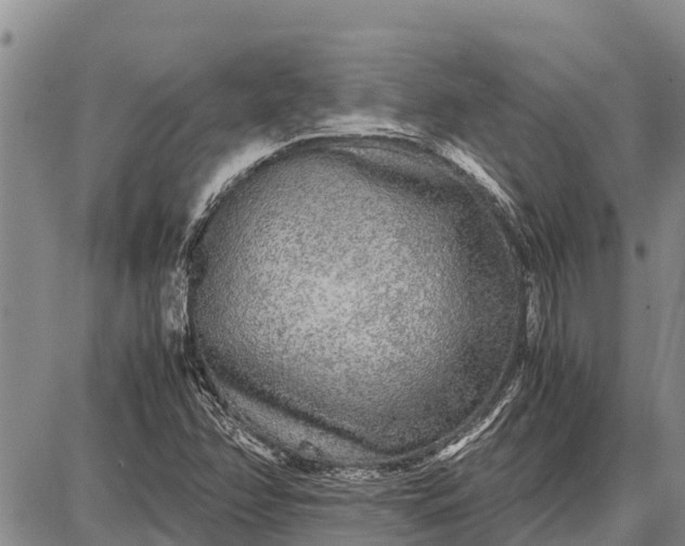 X0000087691358200705181744