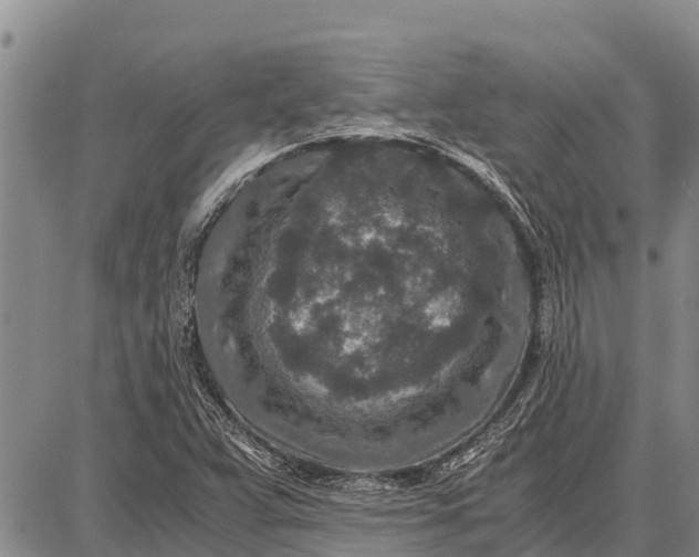 X0000087691359200705181744