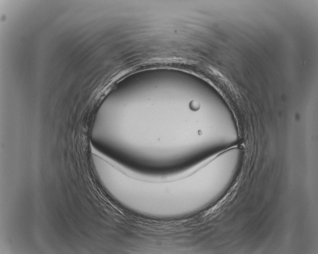 X0000087691361200705181744