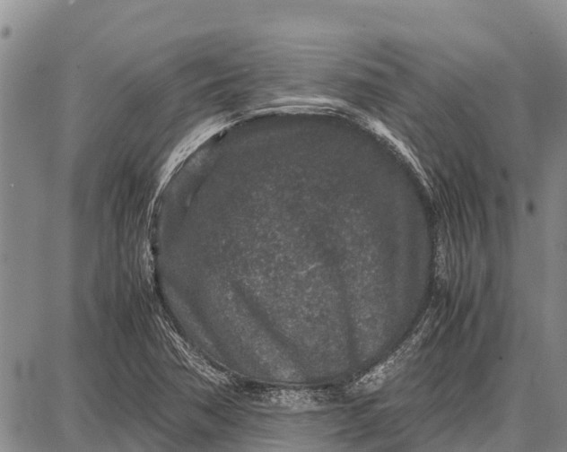 X0000087691362200705181744