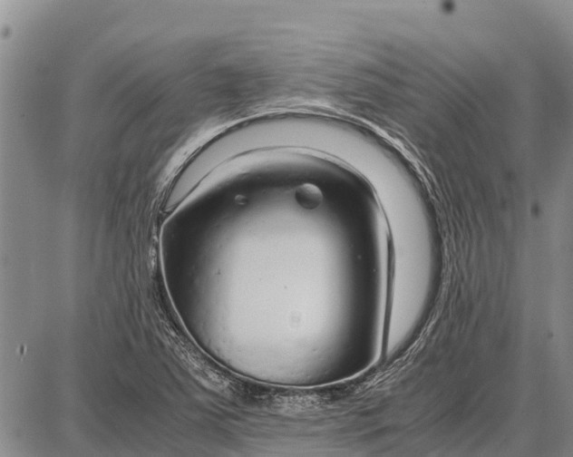 X0000087691363200705181744