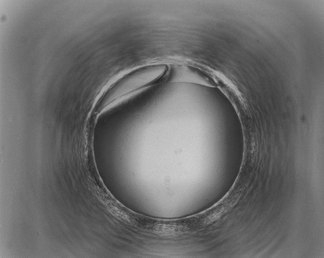 X0000087691364200705181744