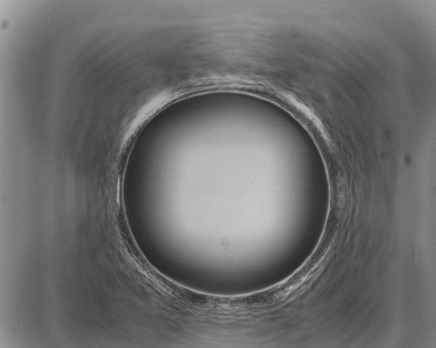 X0000087691365200705181744