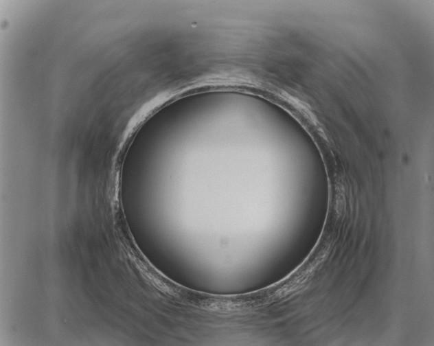 X0000087691366200705181744