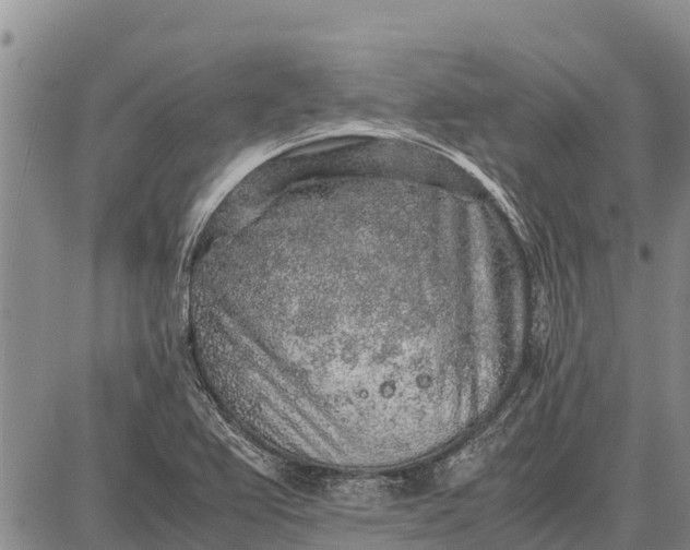 X0000087691367200705181744