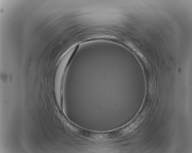 X0000087691369200705181744