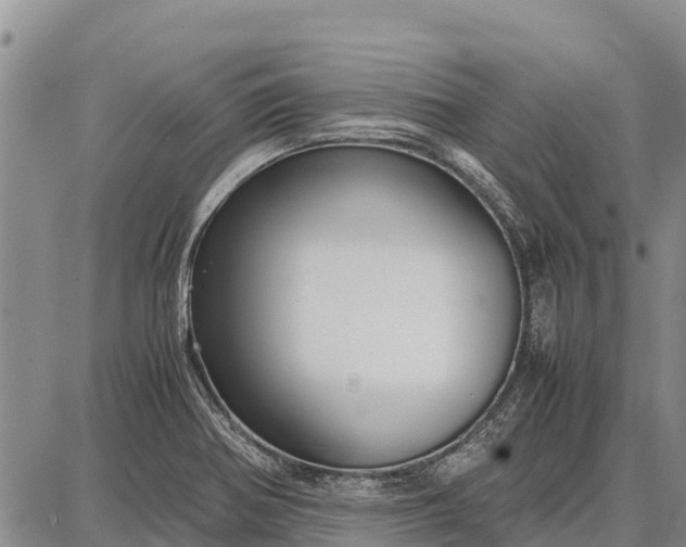 X0000087691370200705181744