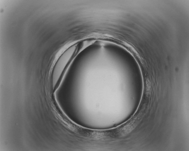 X0000087691371200705181744