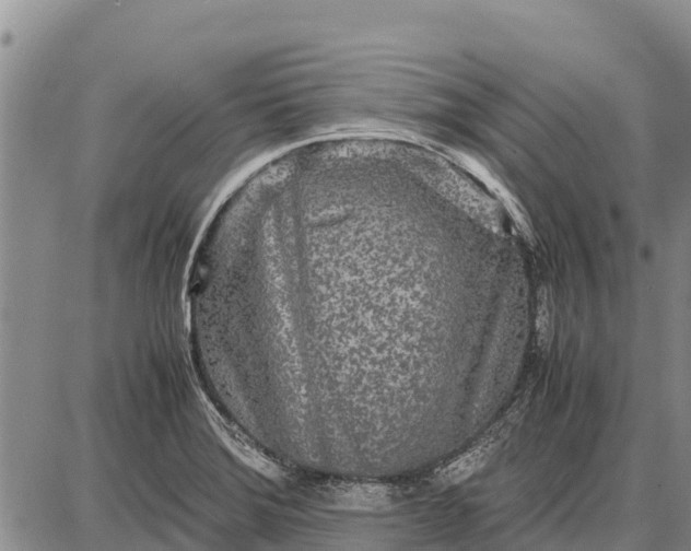 X0000087691372200705181744