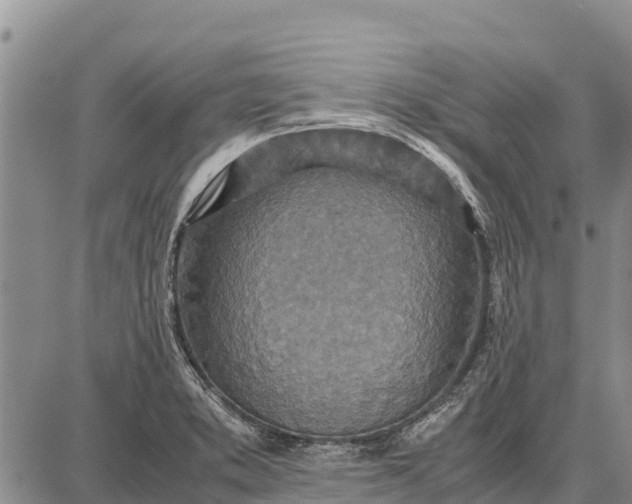 X0000087691373200705181744