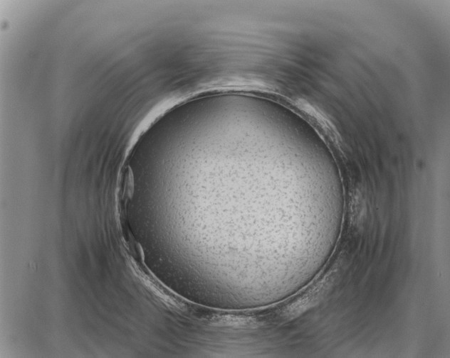 X0000087691374200705181744