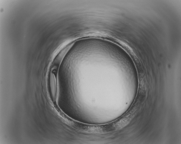 X0000087691375200705181744