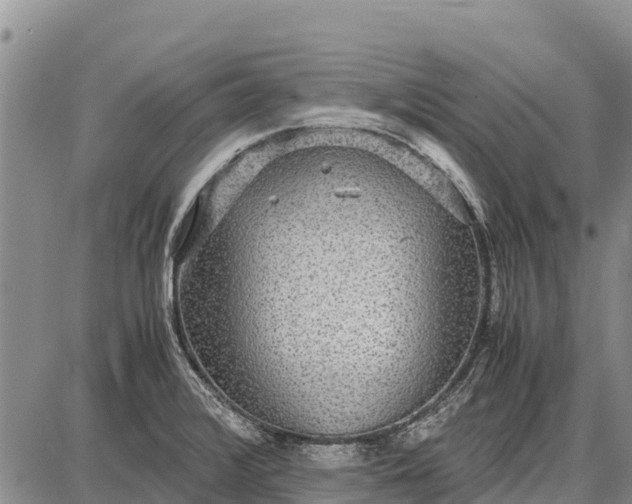 X0000087691376200705181744