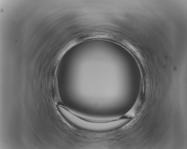 X0000087691377200705181744