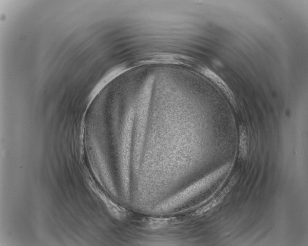 X0000087691378200705181744