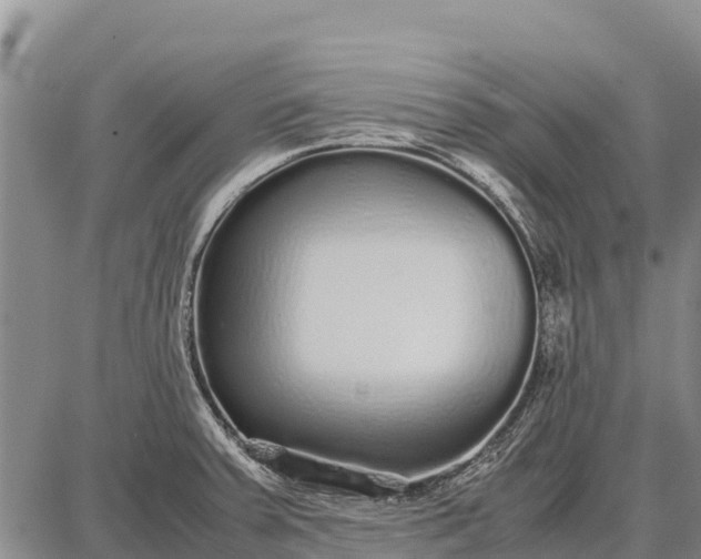 X0000087691379200705181744