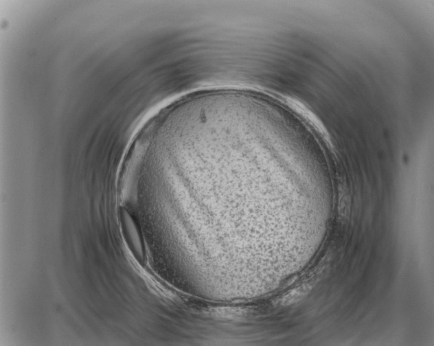 X0000087691380200705181744