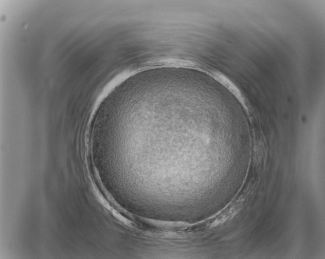 X0000087691381200705181744