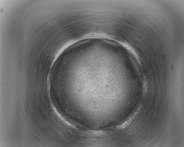 X0000087691382200705181744