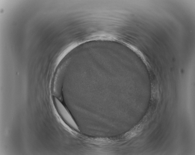 X0000087691383200705181744