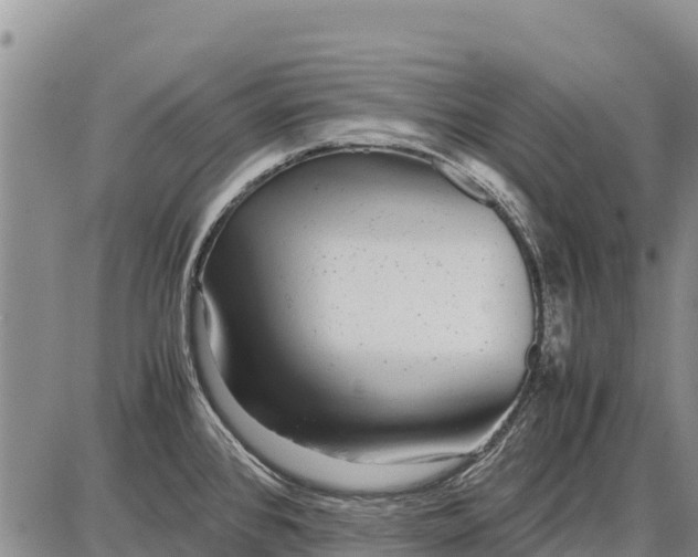 X0000087691384200705181744